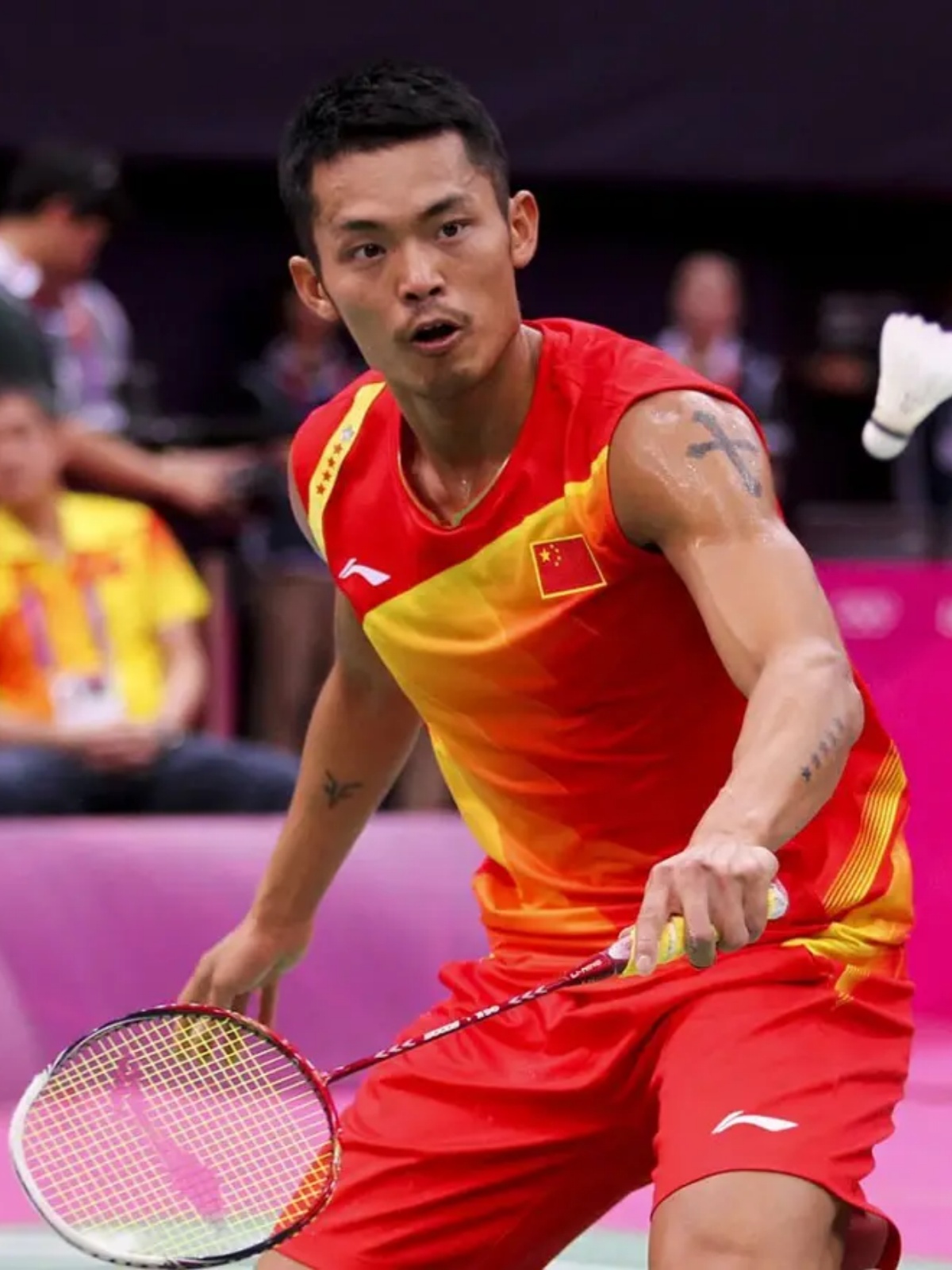 为祖国赢得 为祖国赢得