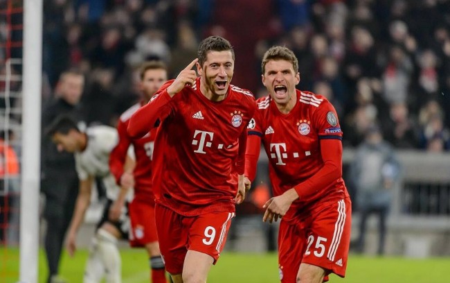 供了一条灵 供了一条灵