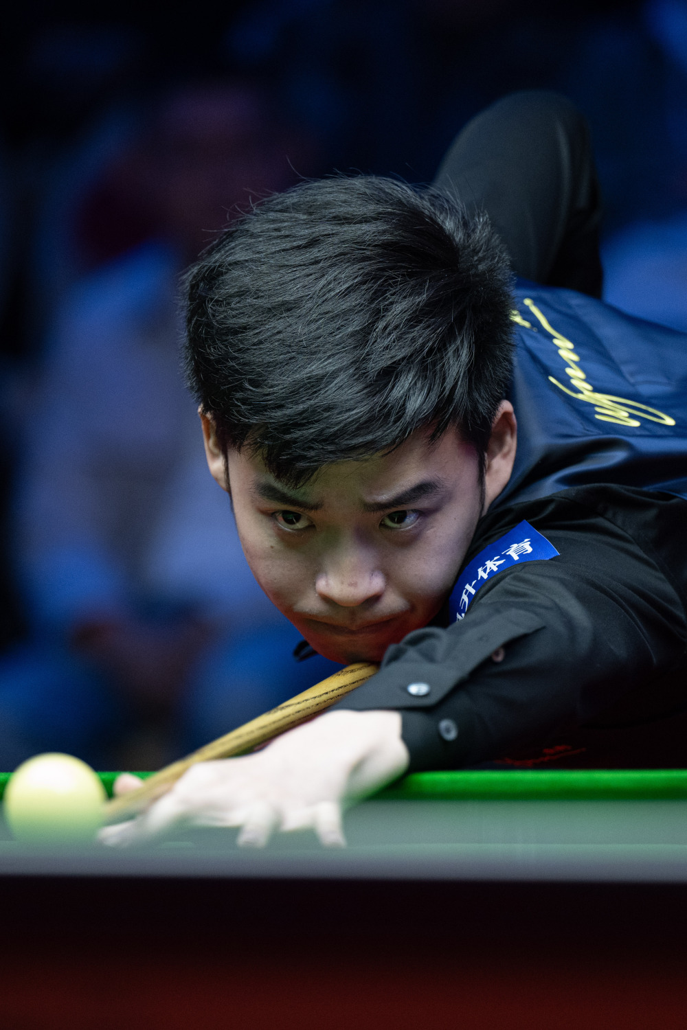 受期待的 受期待的