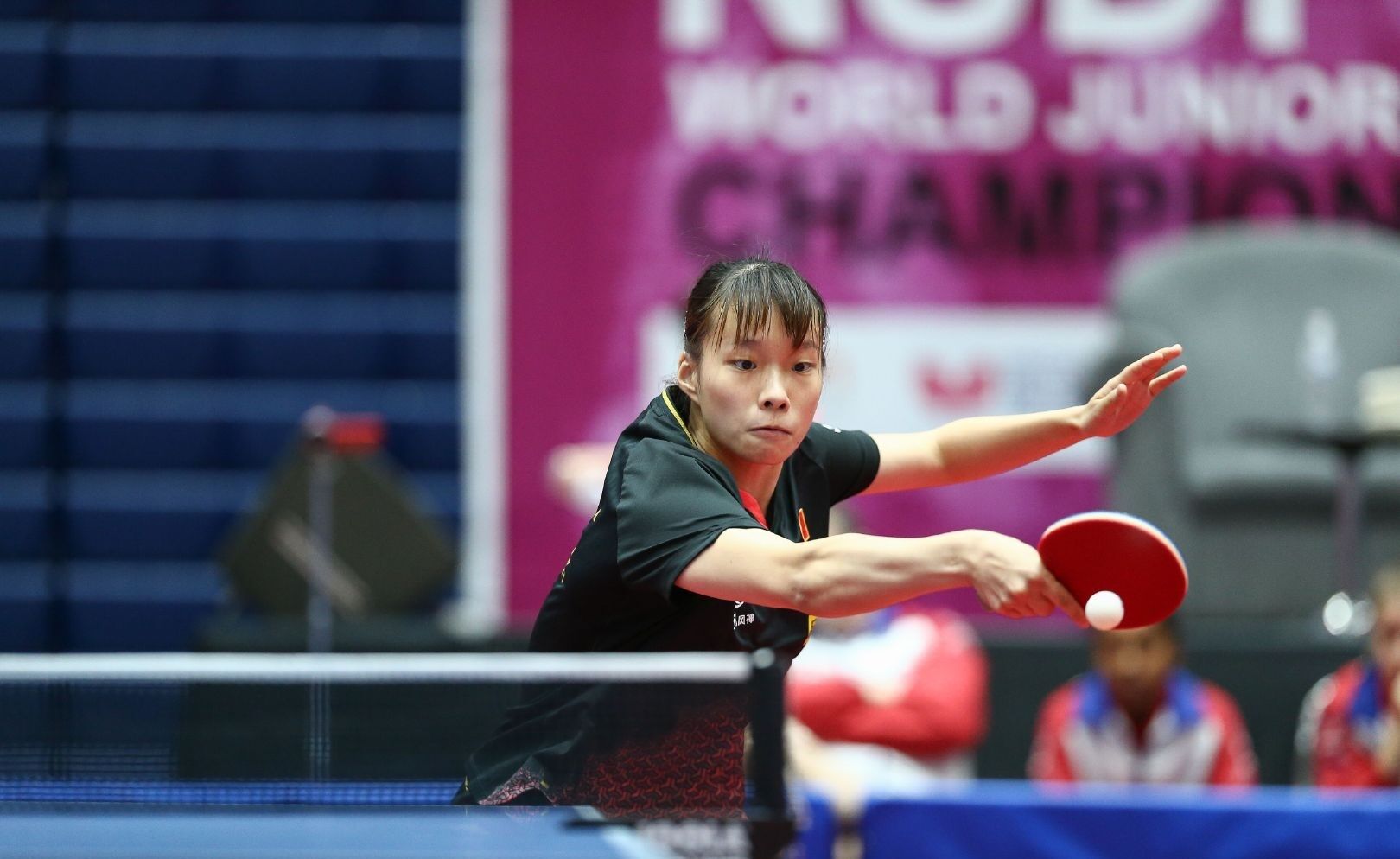 罗宾森日的 罗宾森日的